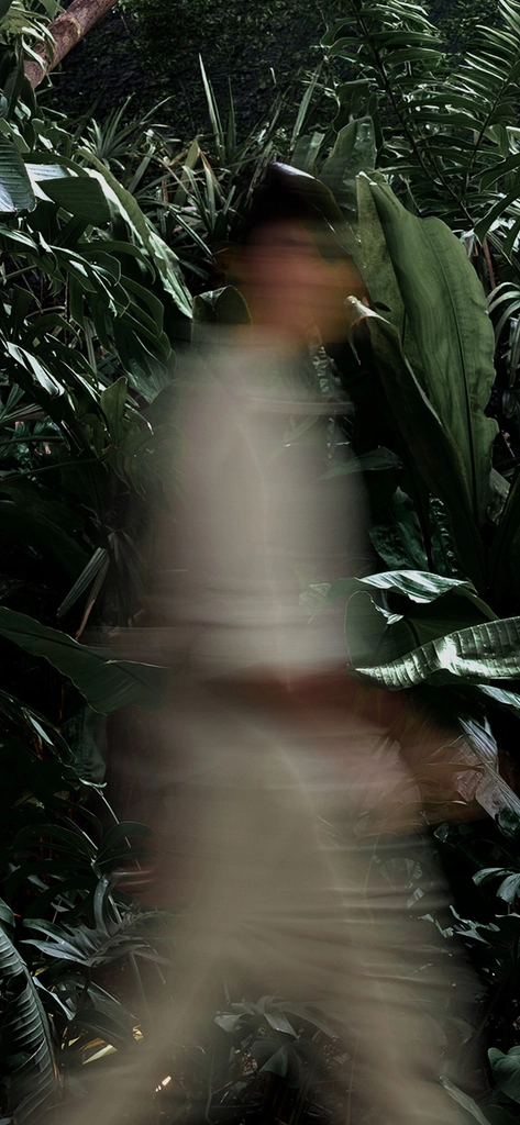 Background da seção de categorias