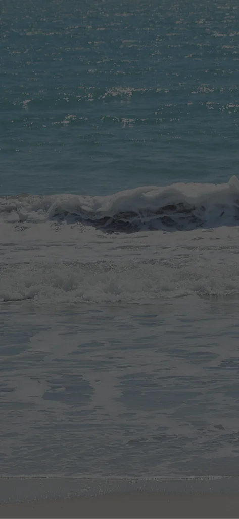 Background da seção de categorias