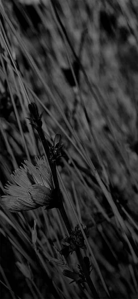 Background da seção de categorias