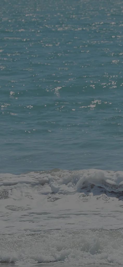 Background da seção de categorias