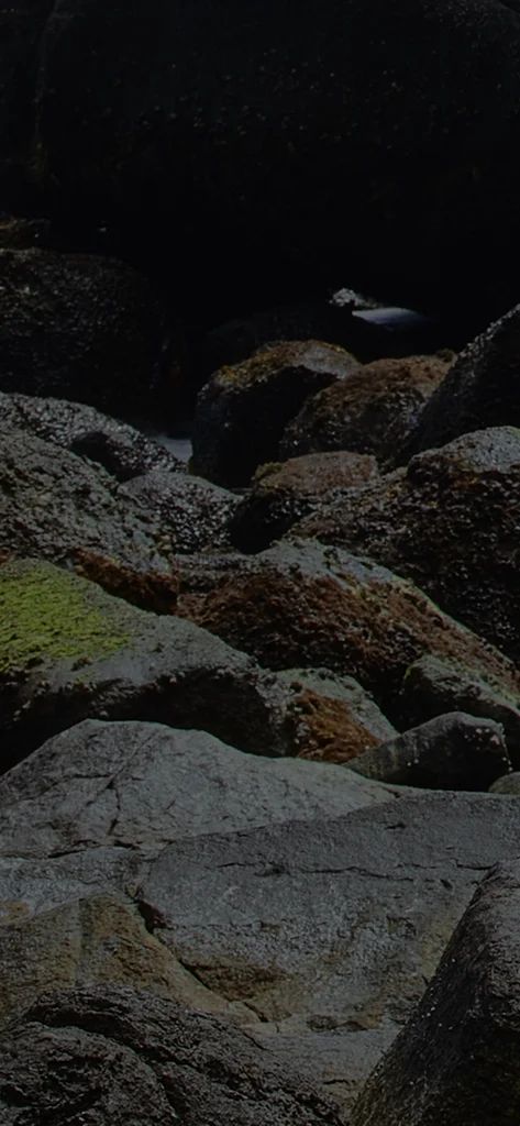 Background da seção de categorias